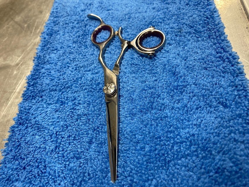 Beauty and Barber Shears